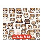 40種類の猫スタンプにゃん（個別スタンプ：2）