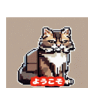 40種類の猫スタンプにゃん（個別スタンプ：10）