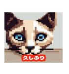 40種類の猫スタンプにゃん（個別スタンプ：15）