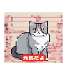 40種類の猫スタンプにゃん（個別スタンプ：17）