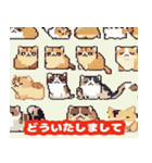 40種類の猫スタンプにゃん（個別スタンプ：19）