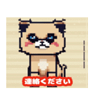 40種類の猫スタンプにゃん（個別スタンプ：24）