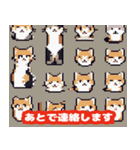 40種類の猫スタンプにゃん（個別スタンプ：25）