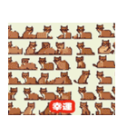 40種類の猫スタンプにゃん（個別スタンプ：39）