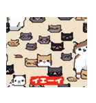 40種類の猫スタンプにゃん（個別スタンプ：40）