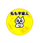 高次元の猫（個別スタンプ：39）