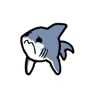 ちっサメ（個別スタンプ：18）