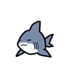 ちっサメ（個別スタンプ：21）