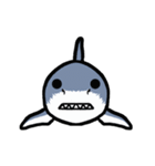 ちっサメ（個別スタンプ：23）