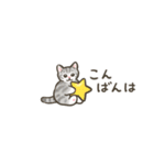 ちっちゃい☆猫たちのスタンプ（個別スタンプ：16）