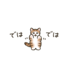 ちっちゃい☆猫たちのスタンプ（個別スタンプ：40）