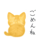 子猫茶トラらら（個別スタンプ：8）