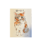 日常会話♡手描き猫（個別スタンプ：11）