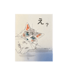 日常会話♡手描き猫（個別スタンプ：12）