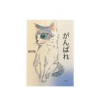 日常会話♡手描き猫（個別スタンプ：13）