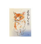 日常会話♡手描き猫（個別スタンプ：15）