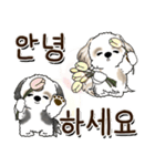 シーズー犬 『韓国語』（個別スタンプ：1）