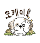 シーズー犬 『韓国語』（個別スタンプ：3）