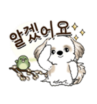 シーズー犬 『韓国語』（個別スタンプ：4）