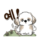 シーズー犬 『韓国語』（個別スタンプ：6）