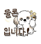 シーズー犬 『韓国語』（個別スタンプ：11）