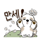 シーズー犬 『韓国語』（個別スタンプ：12）