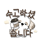 シーズー犬 『韓国語』（個別スタンプ：13）