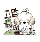 シーズー犬 『韓国語』（個別スタンプ：14）