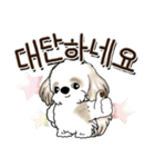 シーズー犬 『韓国語』（個別スタンプ：16）