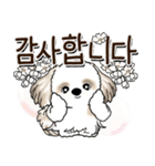 シーズー犬 『韓国語』（個別スタンプ：18）