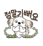 シーズー犬 『韓国語』（個別スタンプ：19）