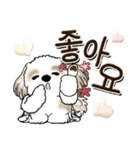 シーズー犬 『韓国語』（個別スタンプ：20）