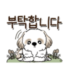 シーズー犬 『韓国語』（個別スタンプ：21）