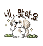 シーズー犬 『韓国語』（個別スタンプ：23）