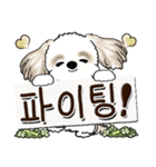 シーズー犬 『韓国語』（個別スタンプ：25）