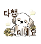 シーズー犬 『韓国語』（個別スタンプ：27）