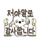 シーズー犬 『韓国語』（個別スタンプ：28）