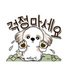 シーズー犬 『韓国語』（個別スタンプ：31）