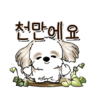 シーズー犬 『韓国語』（個別スタンプ：32）