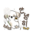 シーズー犬 『韓国語』（個別スタンプ：34）