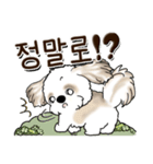 シーズー犬 『韓国語』（個別スタンプ：35）