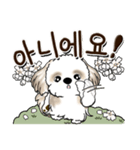 シーズー犬 『韓国語』（個別スタンプ：36）