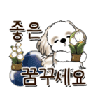 シーズー犬 『韓国語』（個別スタンプ：37）