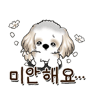 シーズー犬 『韓国語』（個別スタンプ：39）