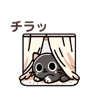 猫たちの日常のスタンプ（個別スタンプ：25）