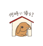 ホーランドロップ 敬語スタンプ（個別スタンプ：10）