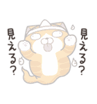 ランラン猫 26 (日本語)（個別スタンプ：1）