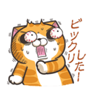ランラン猫 26 (日本語)（個別スタンプ：5）