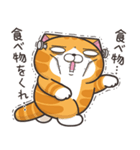 ランラン猫 26 (日本語)（個別スタンプ：7）