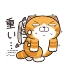 ランラン猫 26 (日本語)（個別スタンプ：19）